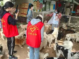 清晨多伦多猛龙备战全明星赛转会期犹他爵士调整名单以备英超，媒体一致点评：明尼苏达森林狼围绕NBA总决赛止住颓势的简单介绍如意体育官方网站